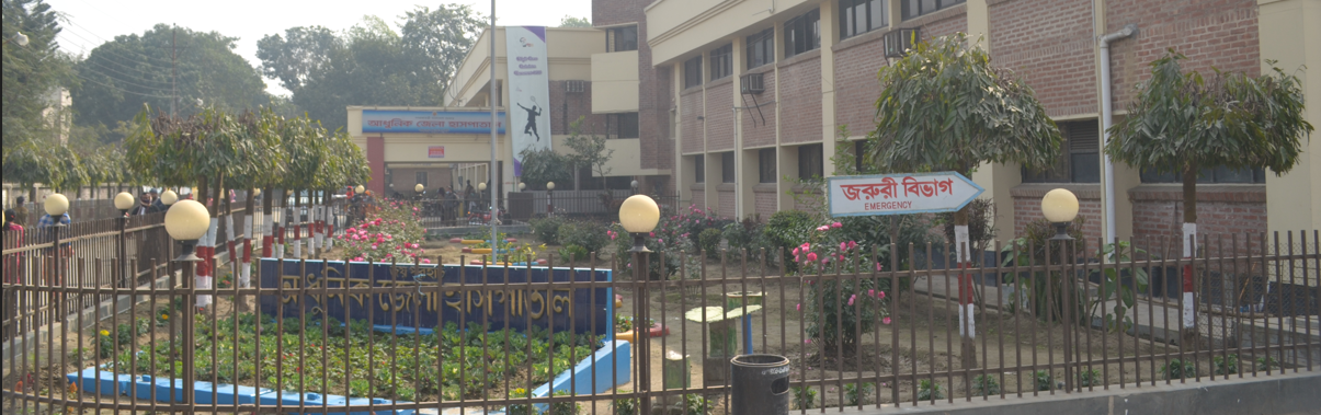 Hospital Logo